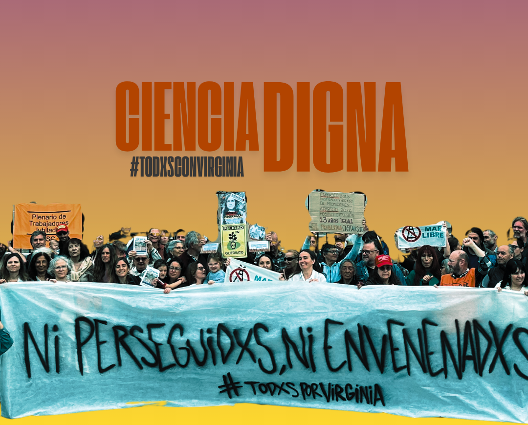 Editorial: No fué la Inteligencia Artificial la que exoneró a Virginia