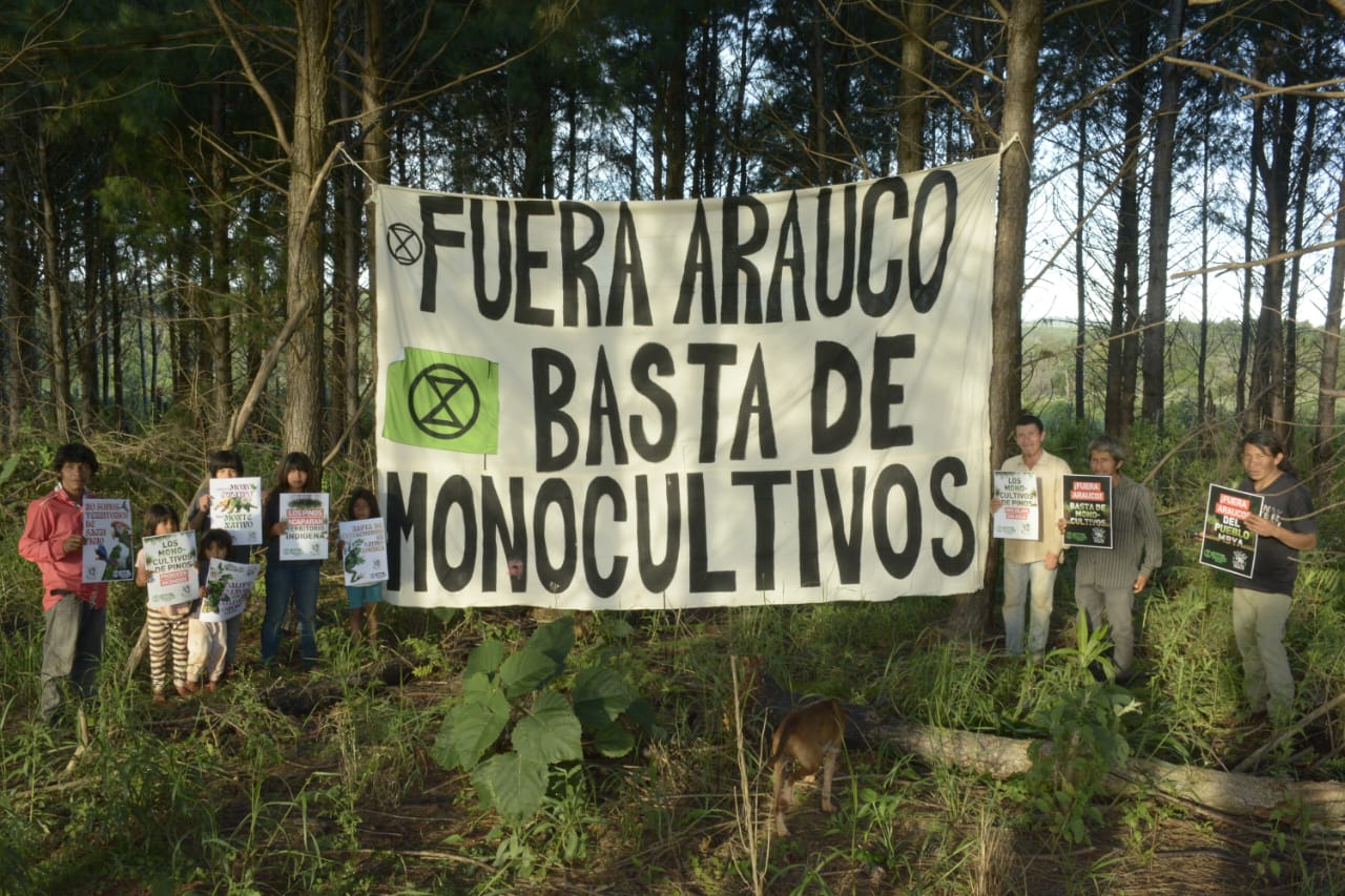 Comunidad Mbya Guaraní en Misiones, resistencia frente a Arauco