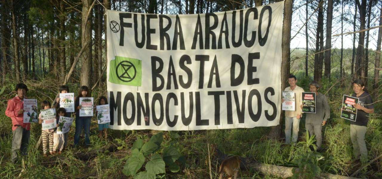 Comunidad Mbya Guaraní en la selva misionera