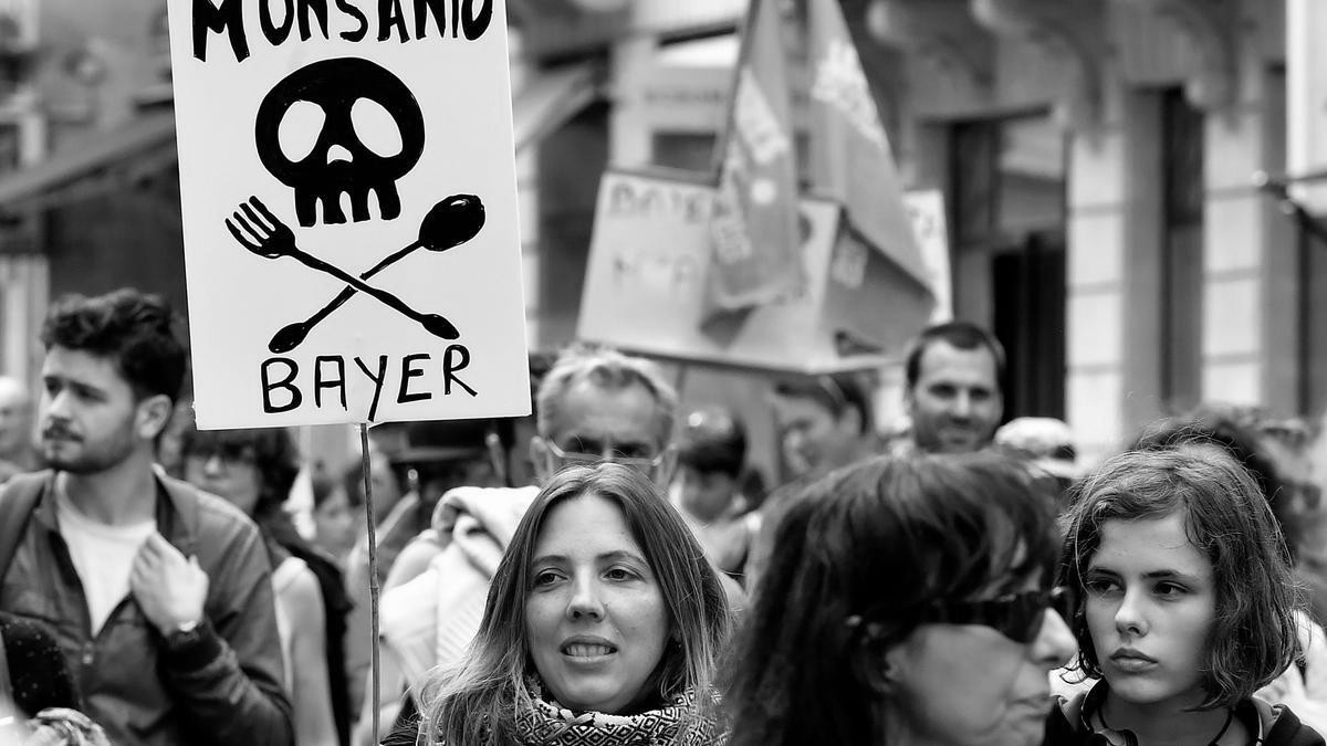 Contaminación en el río