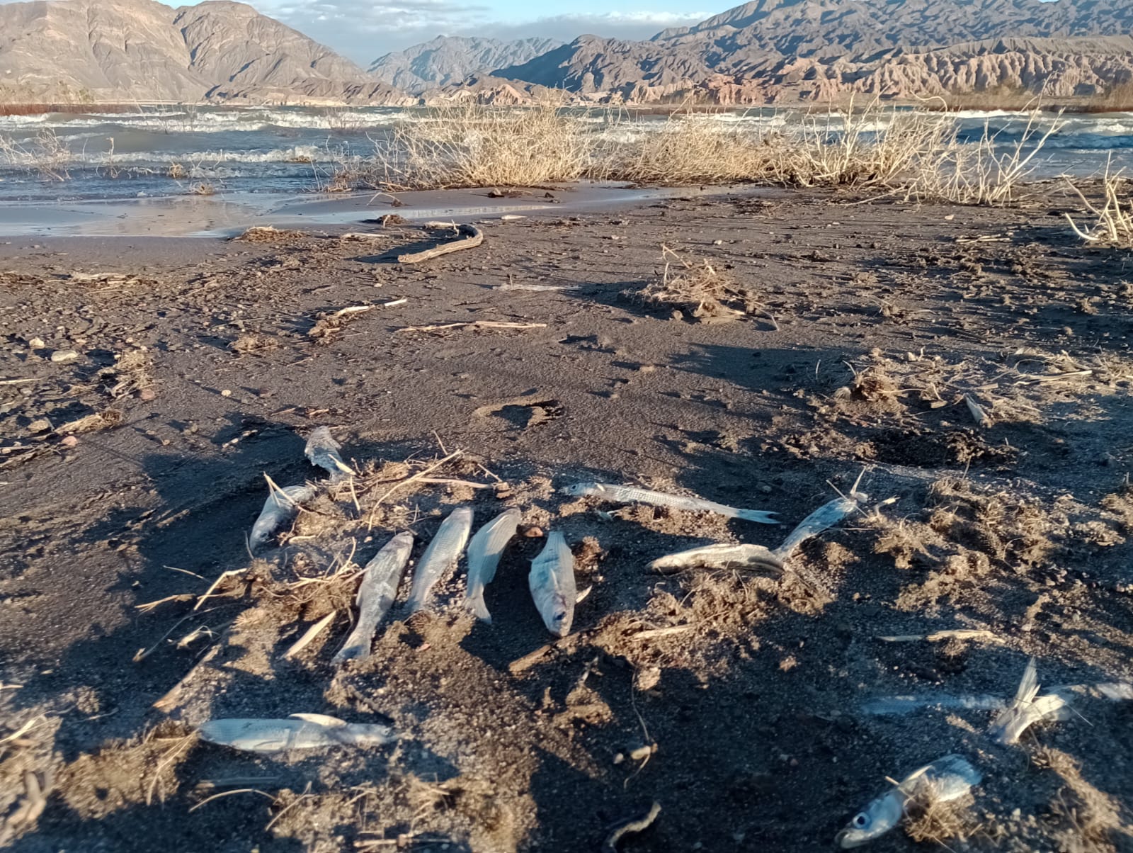 Contaminación en el río